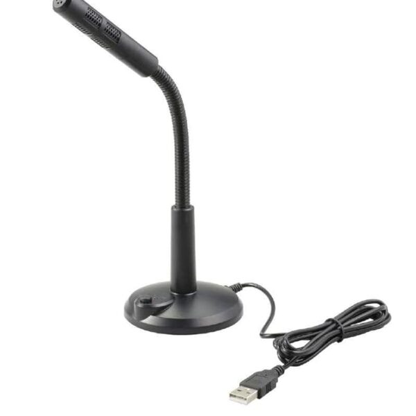 MIC BIG USB