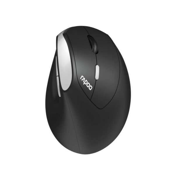 MOUSE W RAPOO EV250 SLIENT
