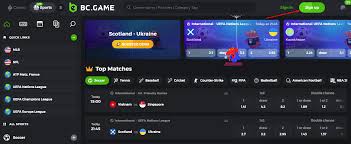 Exploring the Exciting World of BC Game India 7