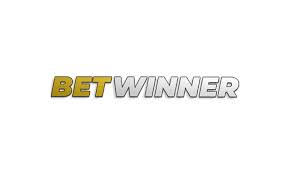The Ultimate Guide to Sports Betting Strategies, Tips, and More