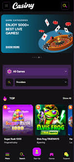 The Ultimate Guide to the Exciting Features of the Casiny App